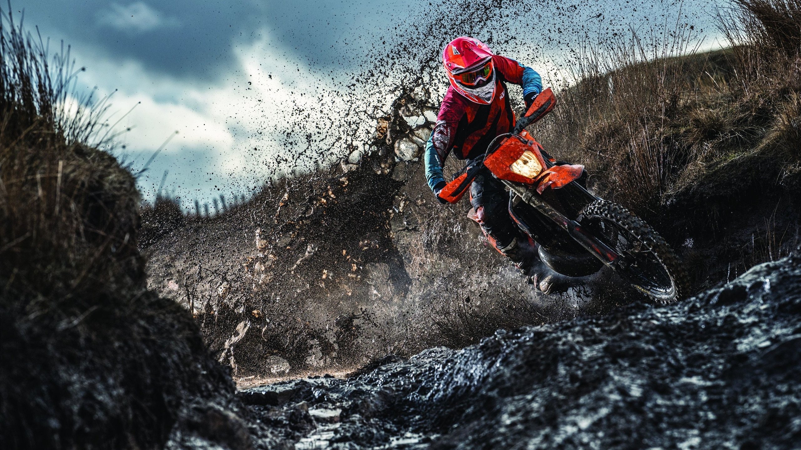 双重横扫，从王皓的乒乓桌到姆巴佩的绿茵场，胜利的基因如何跨界传承？